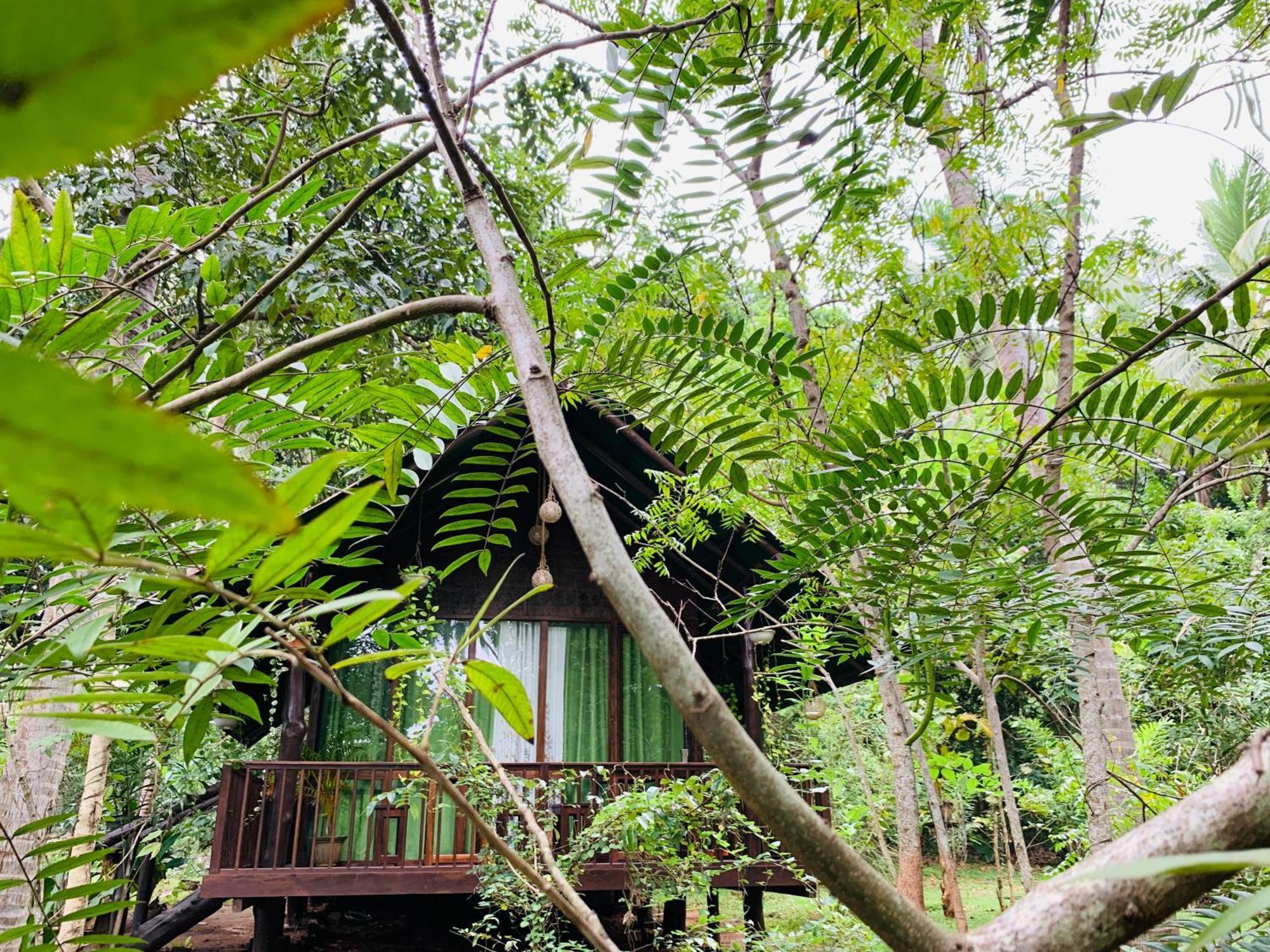 Nature World 우다왈라웨 객실 사진